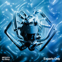 MEDUZA - No Sleep