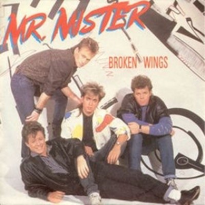 Obrázek Mr.Mister, Broken Wings