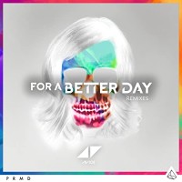 AVICII - FOR A BETTER DAY