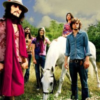 Amorphous Androgynous, Mountain Goat