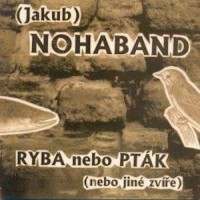 Jakub Noha Band, Komáři v horké noci