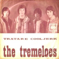 TREMELOES, Cool Jerk