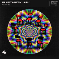MR. BELT & WEZOL feat. RSCL - Way It Is