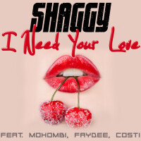 Shaggy & Mohombi, I Need Your Love