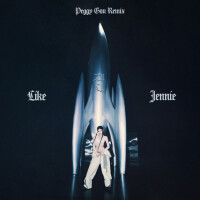 like JENNIE [Peggy Gou Remix) - JENNIE