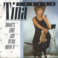 TINA TURNER, What's Love Got to Do With It