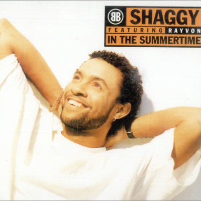 SHAGGY - In The Summertime