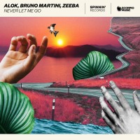 ALOK & BRUNO MARTINI & ZEEBA - Never Let Me Go