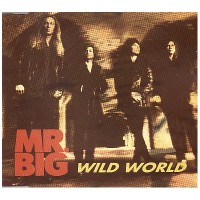 MR. BIG, Wild World