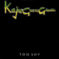 KAJAGOOGOO, Too Shy