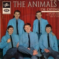 I&#039;m Crying - ANIMALS