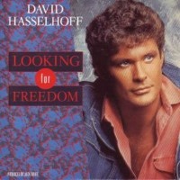 DAVID HASELLHOFF, Looking For Freedom