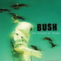 The Chemicals Between Us - Bush