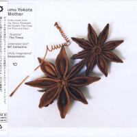 Susumu Yokota, A Flower White (Ft. Nancy Elizabeth)