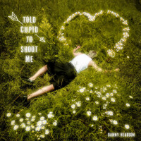 Told Cupid To Shoot Me - DANNY HEADSON