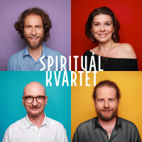 SPIRITUÁL KVARTET, DÉMANT A REZ