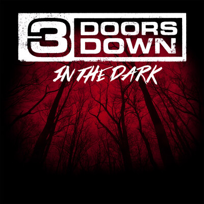 Obrázek 3 DOORS DOWN, In The Dark