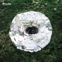 Bonobo (feat. Bajka), Days To Come