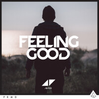 AVICII, Feeling Good
