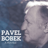 PAVEL BOBEK & ROBERT KŘESŤAN, TENHLE SPLÍN