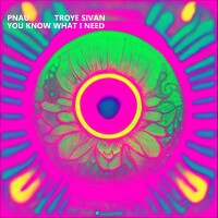 PNAU & Troye Sivan - You Know What I need