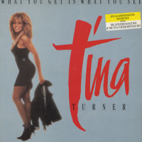What You Get Is What You See - TINA TURNER