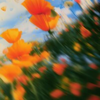 RUFUS DU SOL - Music Is Better