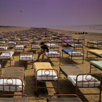 PINK FLOYD, TERMINAL FROST
