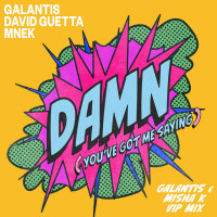 GALANTIS & DAVID GUETTA & MNEK - Damn