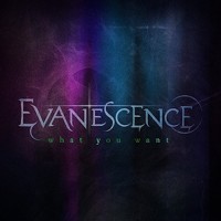 EVANESCENCE, What You Want