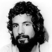 CAT STEVENS, The First Cut Is The Deepest