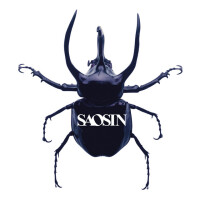 Saosin, You're Not Alone