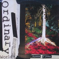 Duran Duran - Ordinary world