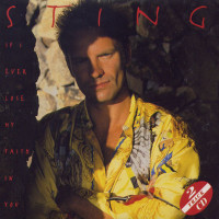 STING, If I Ever Lose My Faith In You