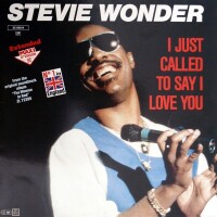 I Just Call To Say I Love You - STEVIE WONDER
