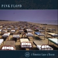 Learning To Fly - PINK FLOYD