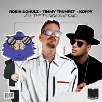 ROBIN SCHULZ & TIMMY TRUMPET & KOPPY, All The Things She Said