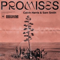 CALVIN HARRIS & SAM SMITH - Promises