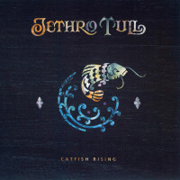 Jethro Tull, THIS IS NOT LOVE