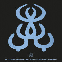 FELIX LEITER & ANGO TAMARIN - Gotta Let You Go