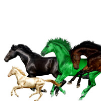 LIL NAS X & BILLY RAY CYRUS & YOUNG THUG - Old Town Road