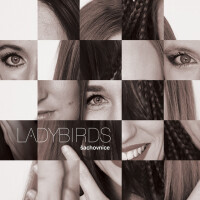 Ladybirds, Matky na tahu