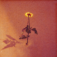 ANAMÉ & LYDMOR - Astronauts