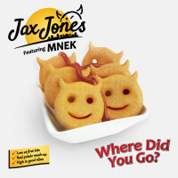 JAX JONES & MNEK - Where Did You Go