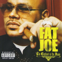 Fat Joe, The Fugitive