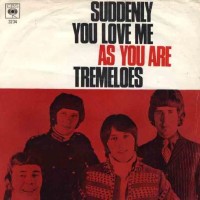 Suddenly You Love Me - TREMELOES