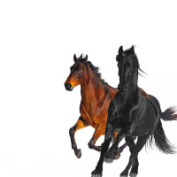 LIL NAS X FT. BILLY RAY CYRUS, OLD TOWN ROAD