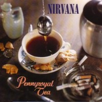 Pennyroyal Tea - NIRVANA