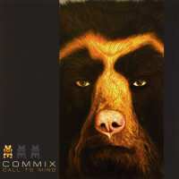 Commix, How You Gonna Feel (feat. Steve Spacek)