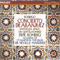 R a d i o S u m m e r, C h i l l N i g h t L o f i